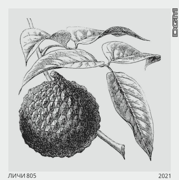 Табак кальянный DOGMA личи 80 гр.