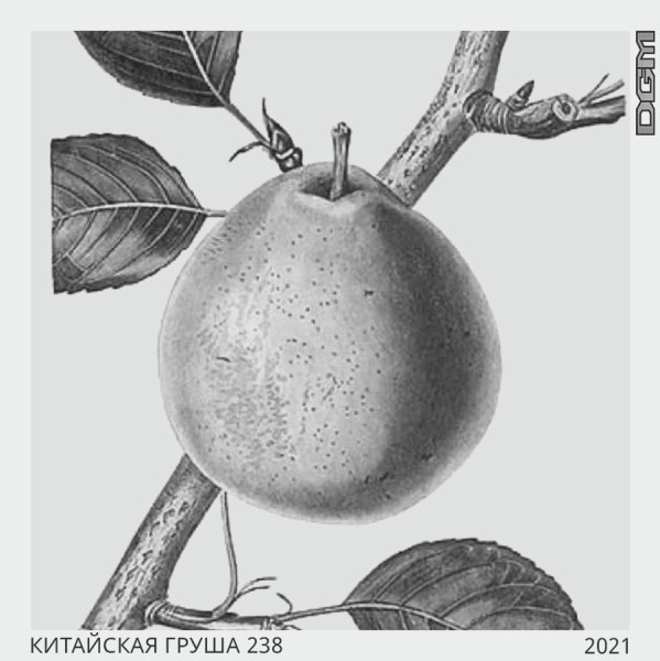 Табак кальянный DOGMA китайская груша 80 гр.