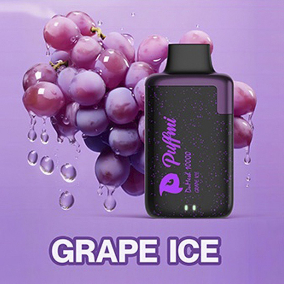 PUFFMI DUMESH 10000 - GRAPE ICE (H-008)