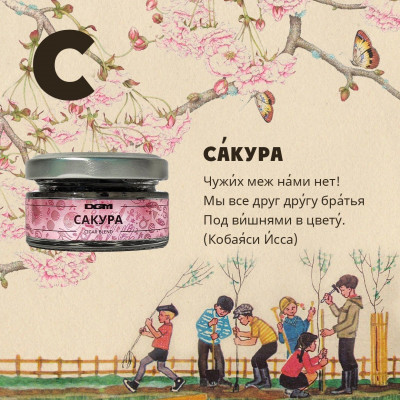 Dogma NEW 20гр Сакура