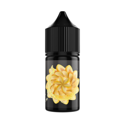 SOAK L 30мл - Torpedo