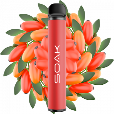 SOAK X Barberry - Барбарисовый леденец