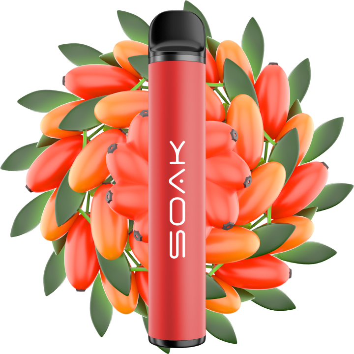 SOAK X Barberry - Барбарисовый леденец