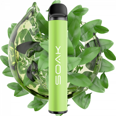 SOAK X Green Tea - Листовой зеленый чай