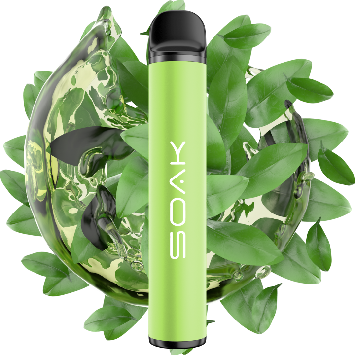 SOAK X Green Tea - Листовой зеленый чай