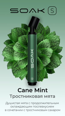 SOAK S Cane Mint - Тростниковая Мята