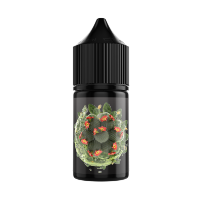 SOAK L 30мл - Cactus Lemonade